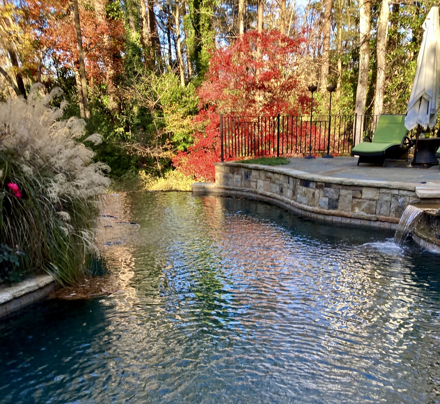 Client pool 1 maintained by Paces Pool Service