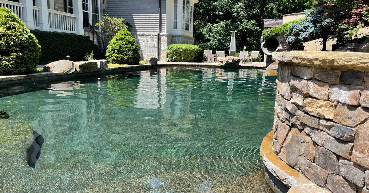 Client pool 10 maintained by Paces Pool Service